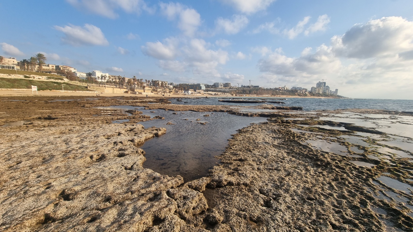 WhatsApp Image 2023-02-20 at 5.53.38 PM (17).jpeg